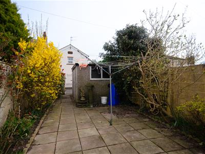 Picture 20